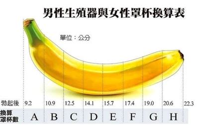 下面尺寸|丁丁多长才是正常的？